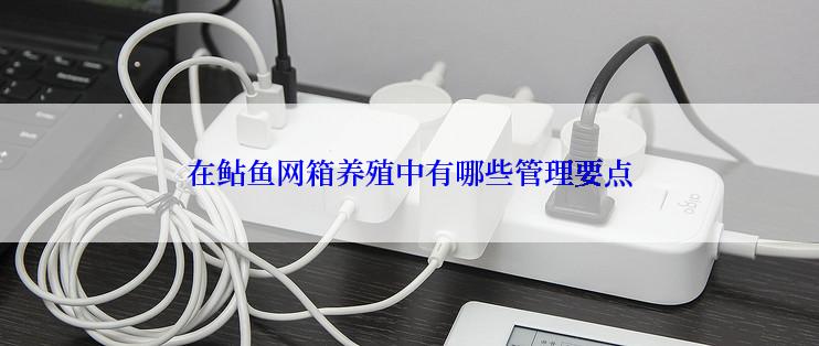 在鲇鱼网箱养殖中有哪些管理要点