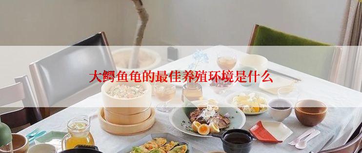 大鳄鱼龟的最佳养殖环境是什么