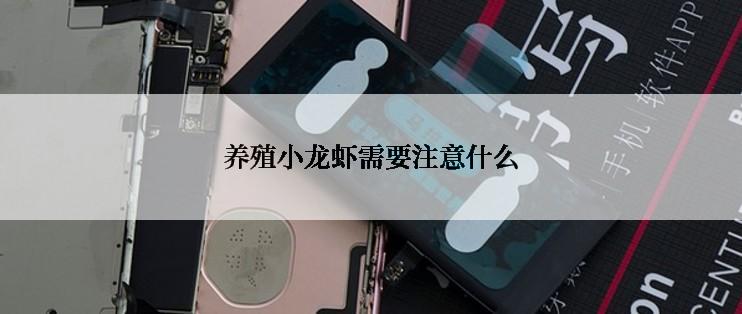 养殖小龙虾需要注意什么