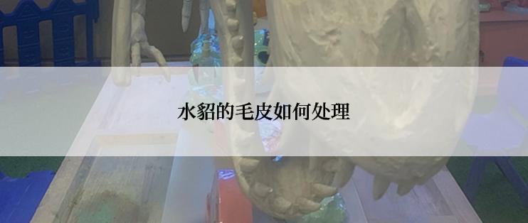 水貂的毛皮如何处理