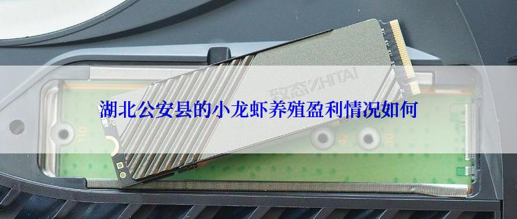 湖北公安县的小龙虾养殖盈利情况如何