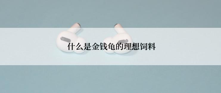  什么是金钱龟的理想饲料