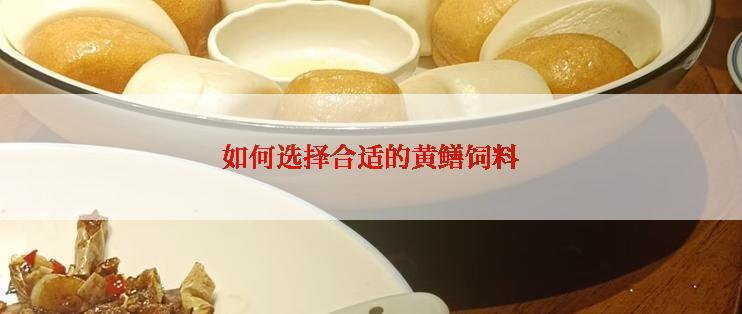 如何选择合适的黄鳝饲料