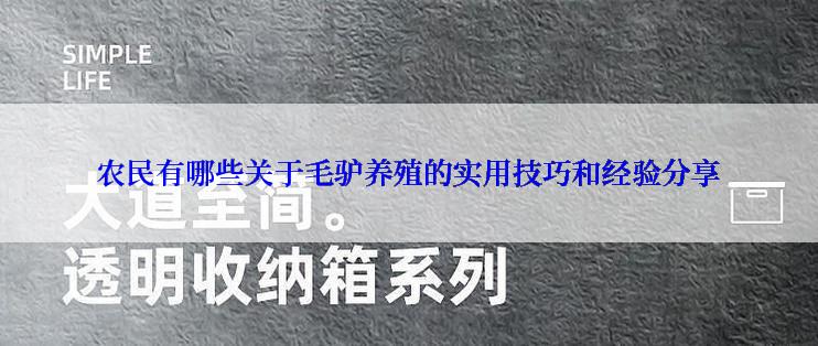 农民有哪些关于毛驴养殖的实用技巧和经验分享