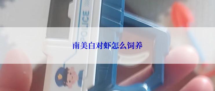 南美白对虾怎么饲养