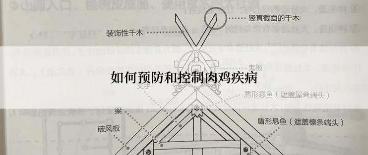 如何预防和控制肉鸡疾病