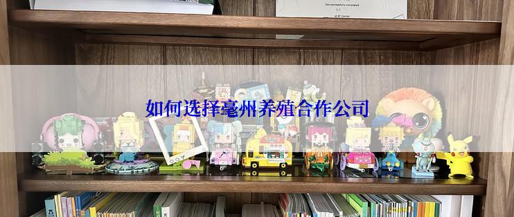 如何选择毫州养殖合作公司