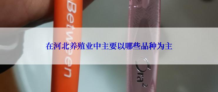 在河北养殖业中主要以哪些品种为主