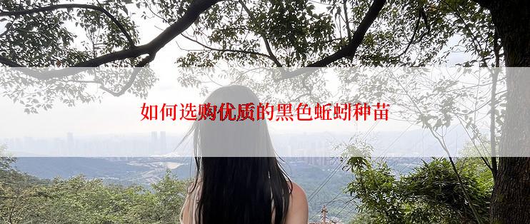 如何选购优质的黑色蚯蚓种苗