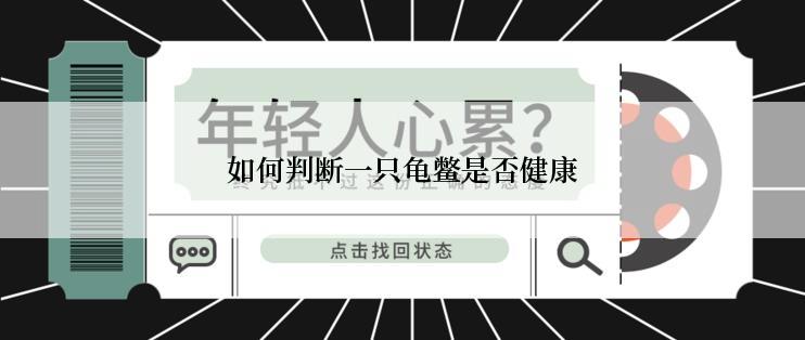 如何判断一只龟鳖是否健康