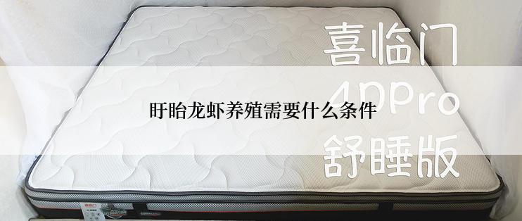  盱眙龙虾养殖需要什么条件