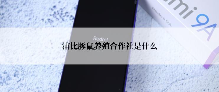 浦比豚鼠养殖合作社是什么