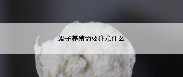 蝎子养殖需要注意什么