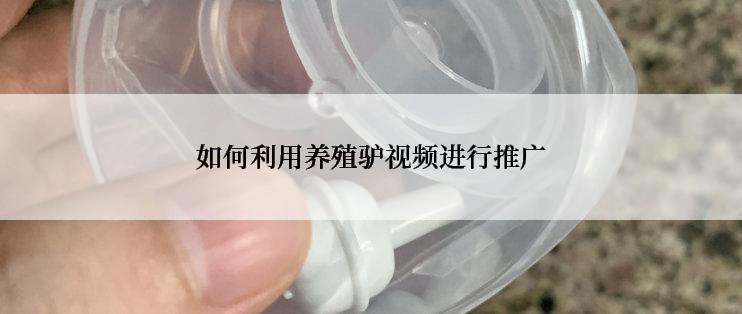 如何利用养殖驴视频进行推广