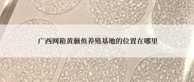  广西网箱黄颡鱼养殖基地的位置在哪里