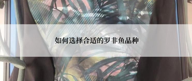  如何选择合适的罗非鱼品种