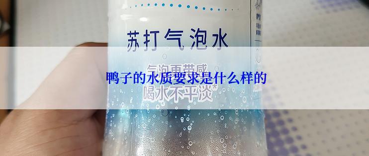  鸭子的水质要求是什么样的