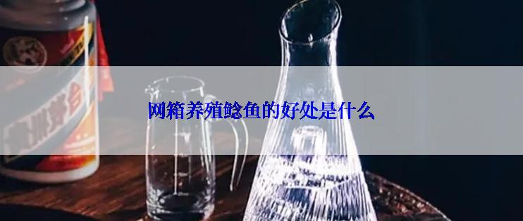 网箱养殖鲶鱼的好处是什么