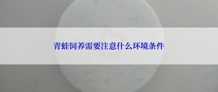 青蛙饲养需要注意什么环境条件