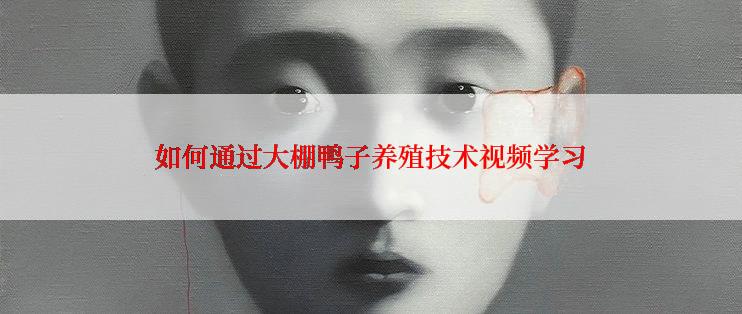 如何通过大棚鸭子养殖技术视频学习