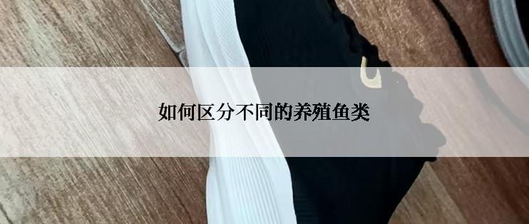 如何区分不同的养殖鱼类