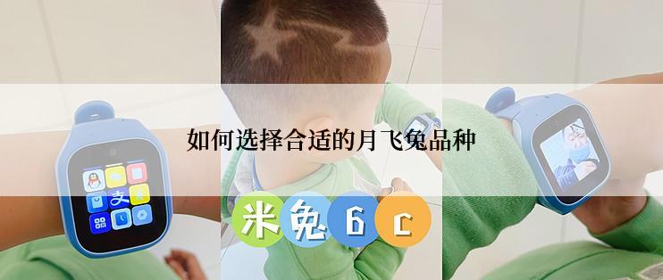 如何选择合适的月飞兔品种