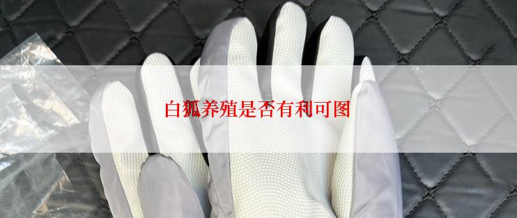 白狐养殖是否有利可图