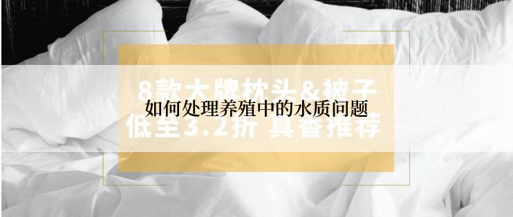 如何处理养殖中的水质问题