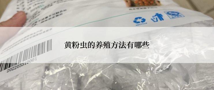 黄粉虫的养殖方法有哪些