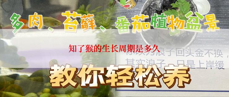 知了猴的生长周期是多久