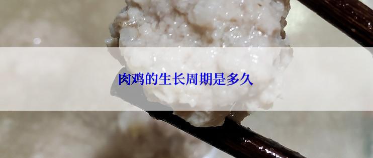 肉鸡的生长周期是多久