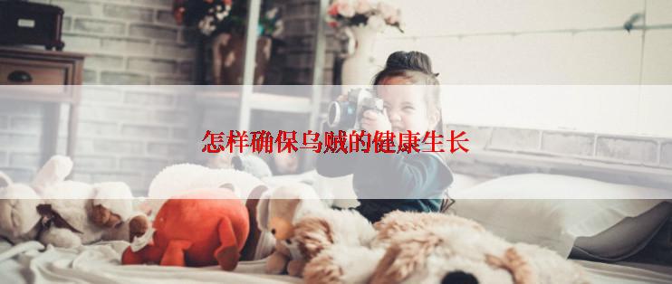 怎样确保乌贼的健康生长