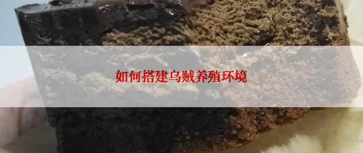 如何搭建乌贼养殖环境