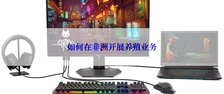 如何在非洲开展养殖业务