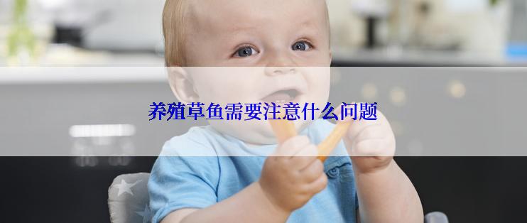 养殖草鱼需要注意什么问题