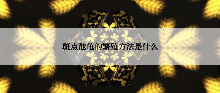 斑点池龟的繁殖方法是什么