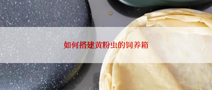 如何搭建黄粉虫的饲养箱