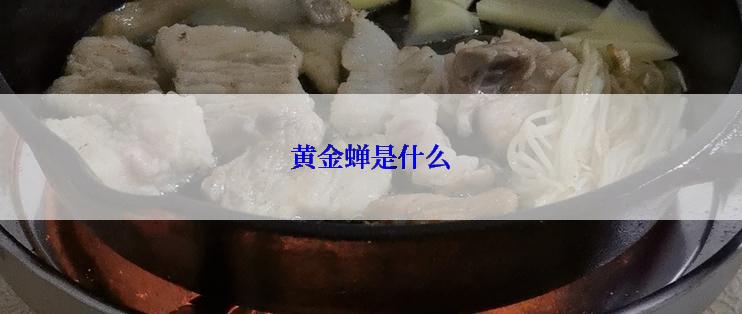 黄金蝉是什么