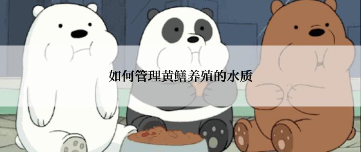 如何管理黄鳝养殖的水质