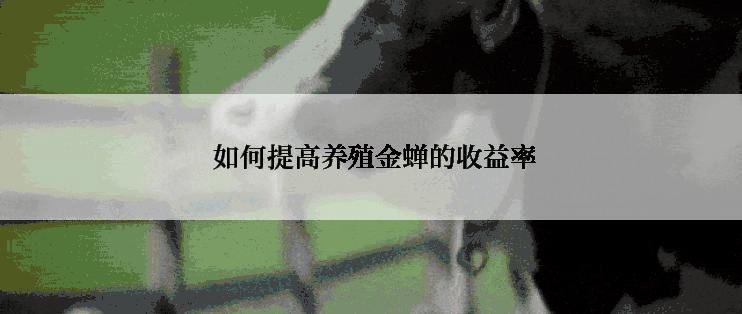  如何提高养殖金蝉的收益率