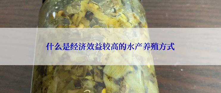 什么是经济效益较高的水产养殖方式