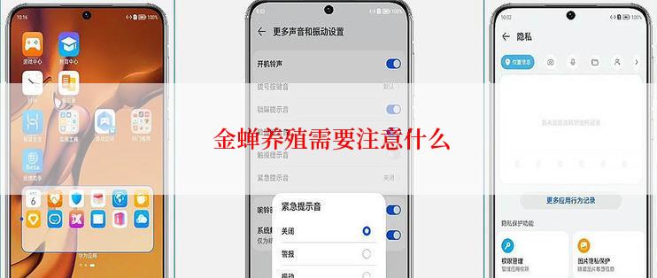  金蝉养殖需要注意什么