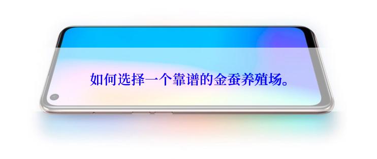 如何选择一个靠谱的金蚕养殖场。