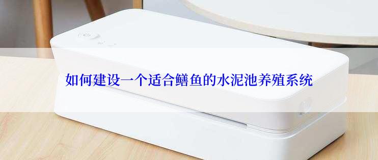 如何建设一个适合鳝鱼的水泥池养殖系统