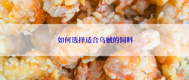  如何选择适合乌贼的饲料