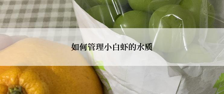 如何管理小白虾的水质