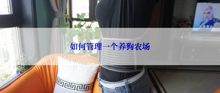 如何管理一个养狗农场