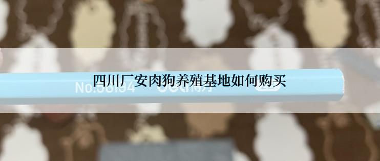 四川厂安肉狗养殖基地如何购买