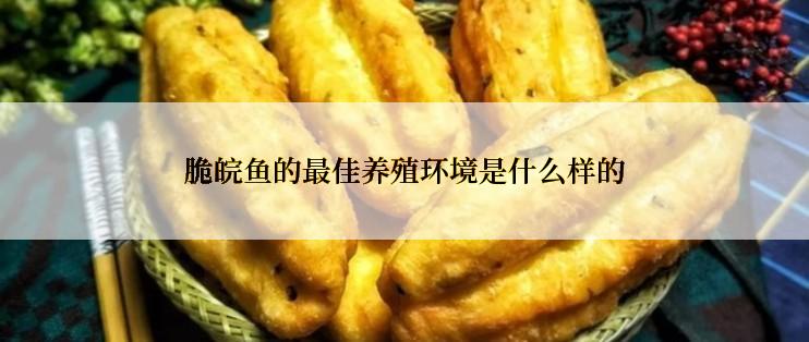 脆皖鱼的最佳养殖环境是什么样的