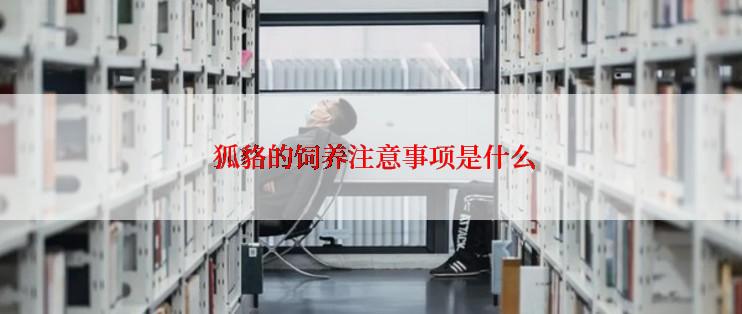  狐貉的饲养注意事项是什么